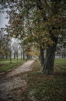 en väg i de parkera av dr franje tudjmana i zagreb i de höst foto