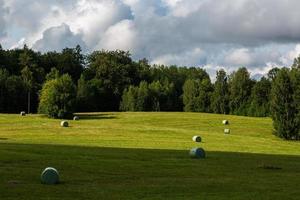 sommar landskap i lettland foto