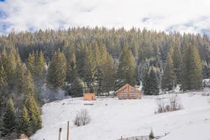 trä- hus i en skön vinter- grön barr- skog på de sluttningar av de bergen foto