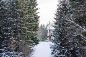 trä- hus i en skön vinter- grön barr- skog på de sluttningar av de bergen foto