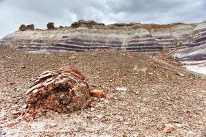 blå mesa i förstenad skog nationell parkera, arizona, USA foto