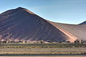 namib öken, namibia foto