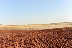 öken- landskap - namibrand, namibia foto