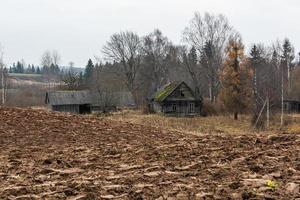höst landskap i lettland foto