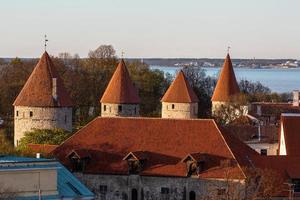 tallinn gammal stad i sommar kväll foto