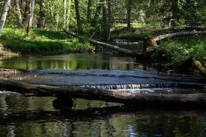 treppoja vattenfall i sommar foto