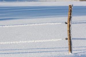 vinter- landskap i baltic stater foto