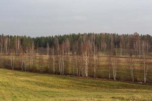 höst landskap i lettland foto