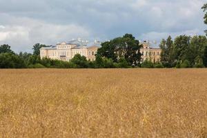 lantlig sommar landskap i baltic stater foto