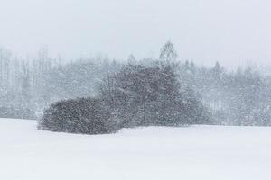 lettiska lantlig by landskap i latgale i vinter- foto