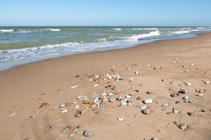 havet av baltic hav i sommar foto