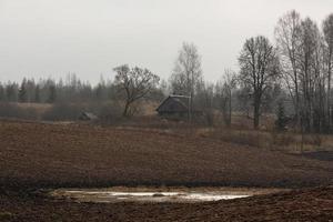 höst landskap i lettland foto