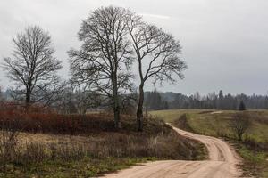 höst landskap i lettland foto