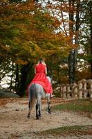 en kvinna i en röd klänning sitter på en häst, ett höst promenad i de skog. foto