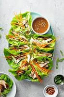 asiatisk grillad kyckling ingefära sallad wraps foto