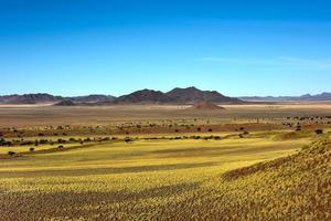 öken- landskap - namibrand, namibia foto