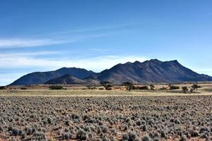 öken- landskap - namibrand, namibia foto