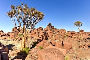 jättes lekplats - namibia foto