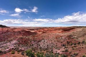 tiponi punkt i de förstenad skog nationell parkera i arizona. foto