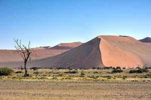 namib öken, namibia foto