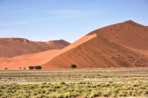 namib öken, namibia foto