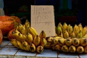 bananer på en frukt stå i gammal Havanna, kuba. foto