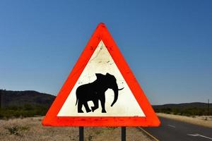 elefant tecken - namibia foto