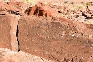 buskman sten gravyrer - namibia foto