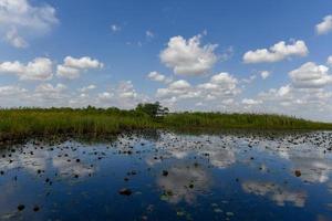 florida våtmarks i de everglades nationell parkera i usa. populär plats för turister, vild natur och djur. foto