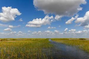 florida våtmarks i de everglades nationell parkera i usa. populär plats för turister, vild natur och djur. foto