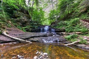 vattenfall i ricketts dalgång stat parkera, pennsylvania. foto