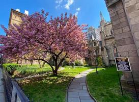 ny york stad - apr 19, 2020 - nåd kyrka är en historisk socken kyrka i manhattan, ny york stad som är del av de biskops- stift av ny york. foto