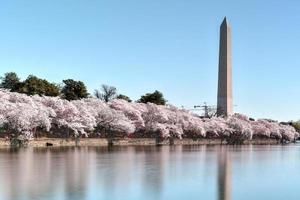 Washington monument i Washington likström foto