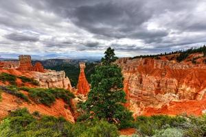 agua kanjon i bryce kanjon nationell parkera i utah, förenad stater. foto