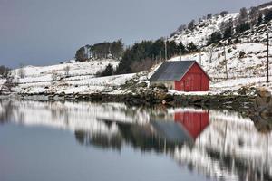 rorbuer reflekterad längs vagspollen i de lofoten öar, Norge i de vinter. foto