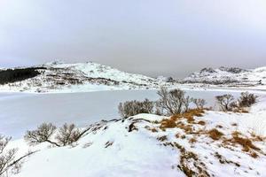 snöig sjö ostadvatnet i de lofoten öar, Norge i de vinter. foto