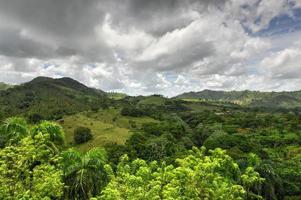 tropisk skog, Dominikanska republik foto
