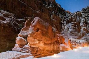 elefant formad sten - petra, jordan foto