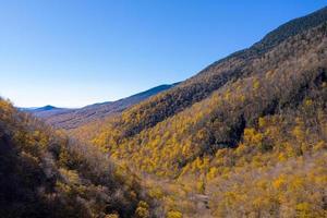 panorama- se av sent falla lövverk i smugglare hack, vermont. foto