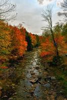 mäld kvarn täckt bro i Cambridge, vermont under falla lövverk. foto