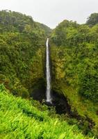 akaka falls hawaii, stor ö foto