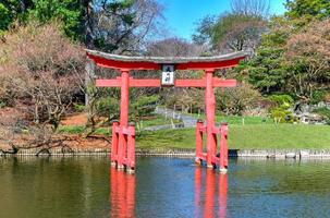 japansk trädgård i de brooklyn botaniska trädgård, ny york stad, usa foto