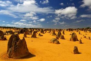 toppar öken, Australien foto