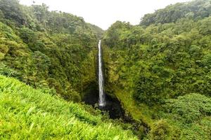 akaka falls hawaii, stor ö foto