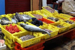 färsk fisk är såld på en basar i israel. foto