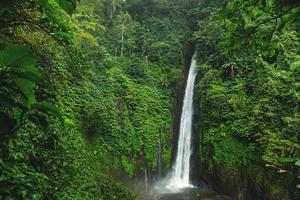 luft terjun munduk vattenfall. bali ö, Indonesien. foto