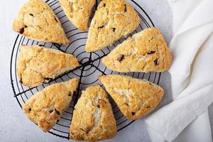 hemlagad choklad chip scones foto