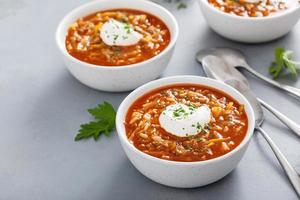 kål rulla och tomat soppa, putsa eller ukrainska recept foto