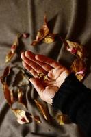 kvinna innehav torkades löv i hand i karachi pakistan 2022 foto