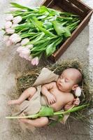 söt liten bebis är liggande i de trä- låda och högen av rosa tulpaner foto